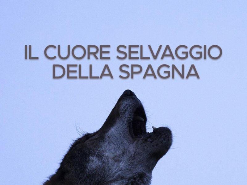 Il cuore selvaggio della Spagna