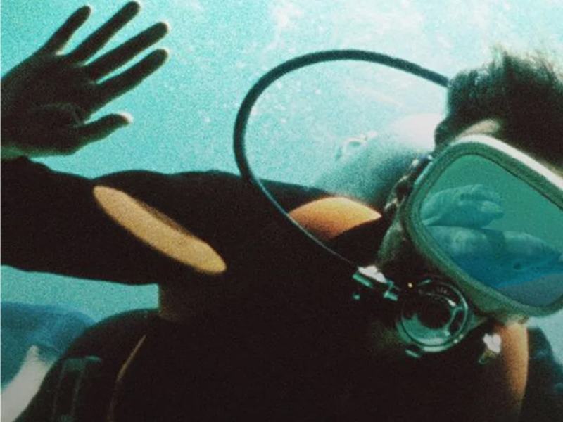 Il giorno del delfino