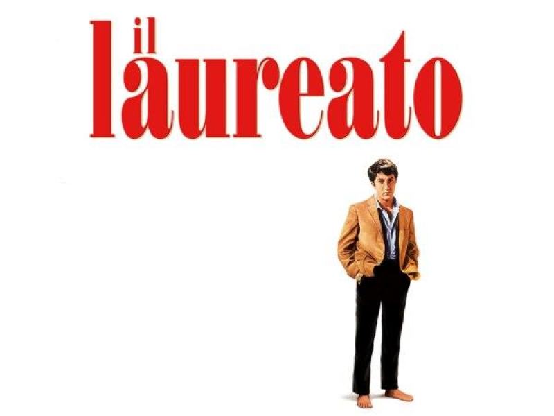 Il laureato