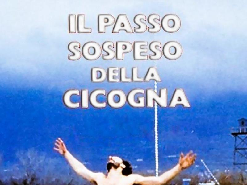 Il passo sospeso della cicogna