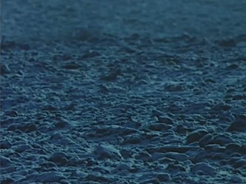 Il pianeta azzurro