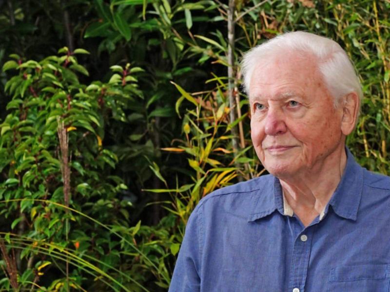 Il Pianeta Verde - Stag. 1 Ep. 3 - Il ciclo delle stagioni