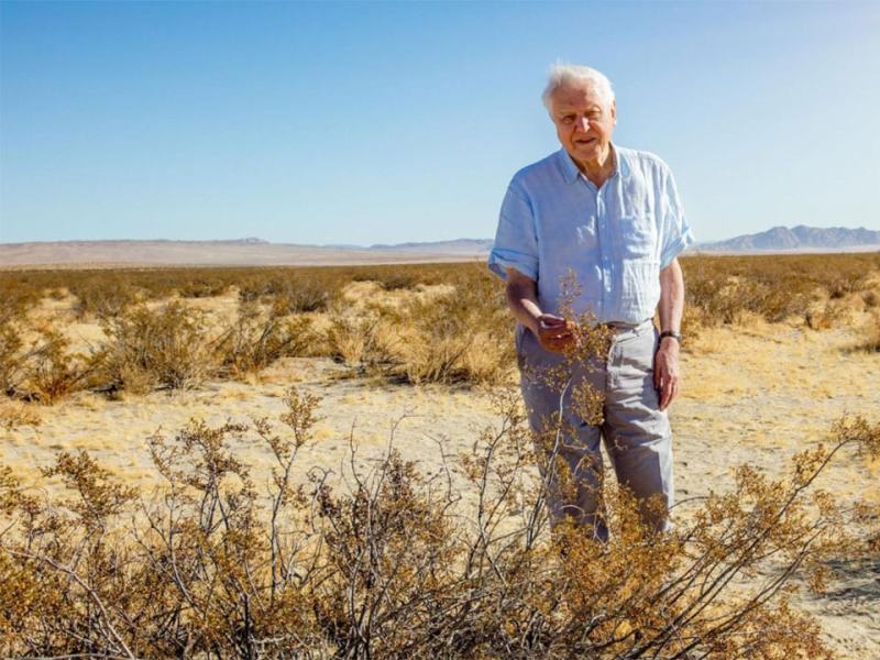 Il Pianeta Verde - Stag. 1 Ep. 4 - Mondi deserti