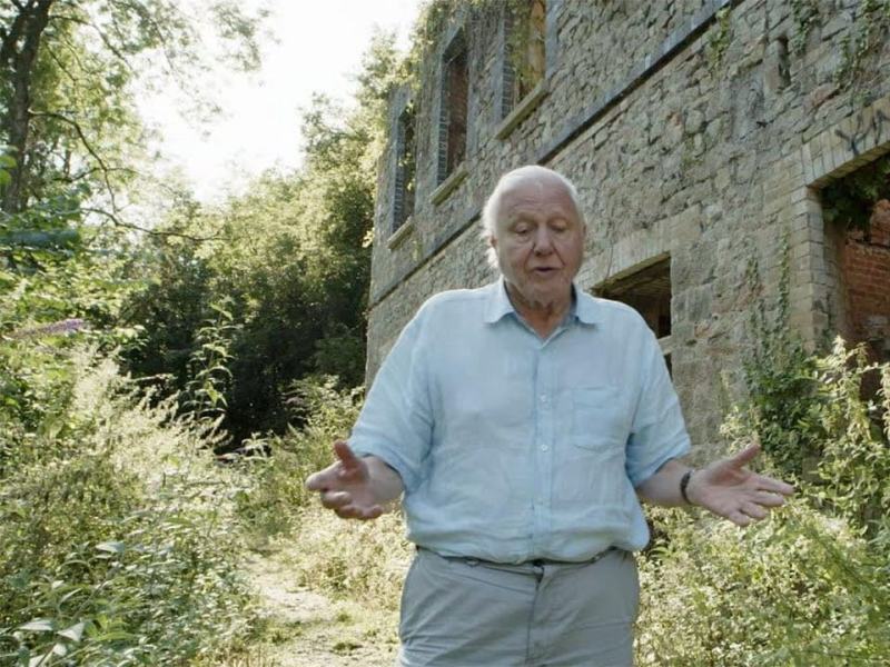 Il Pianeta Verde - Stag. 1 Ep. 5 - L'uomo e la natura