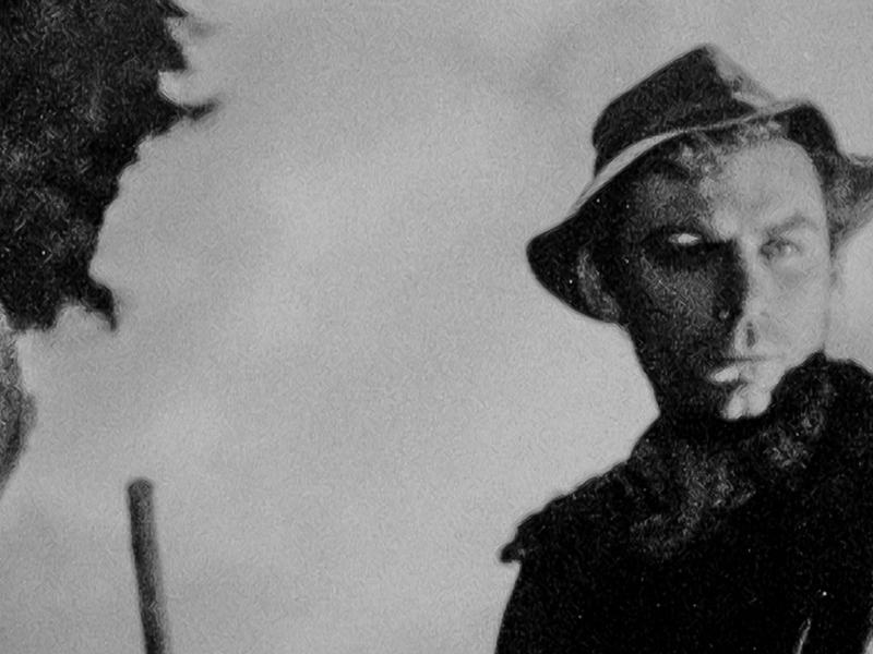 Il taglio del bosco