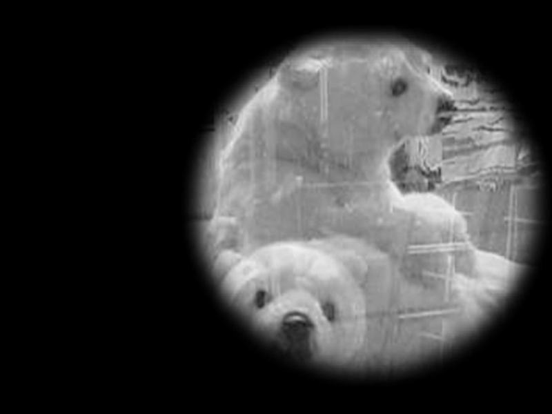 Il tempo del disegno - Una notte con Stefano Ricci - Filmini