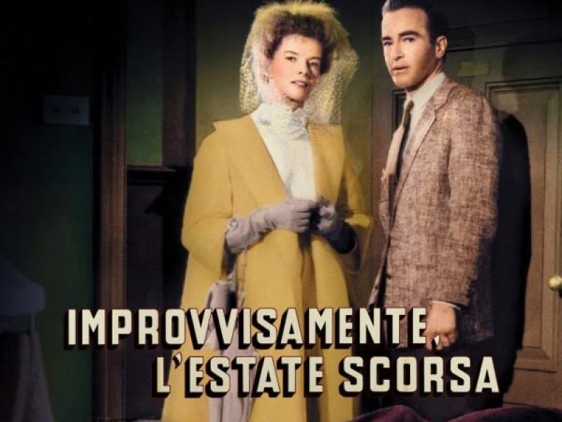 Improvvisamente l'estate scorsa
