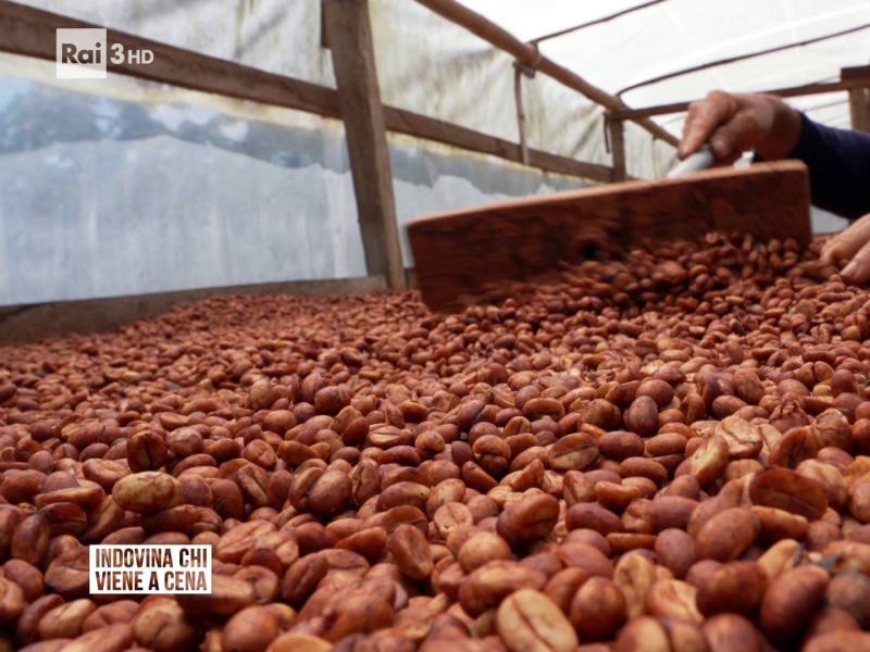 Indovina chi viene a cena - Stag. 2025 - Cose buone dell'altro mondo - 06/12/2025