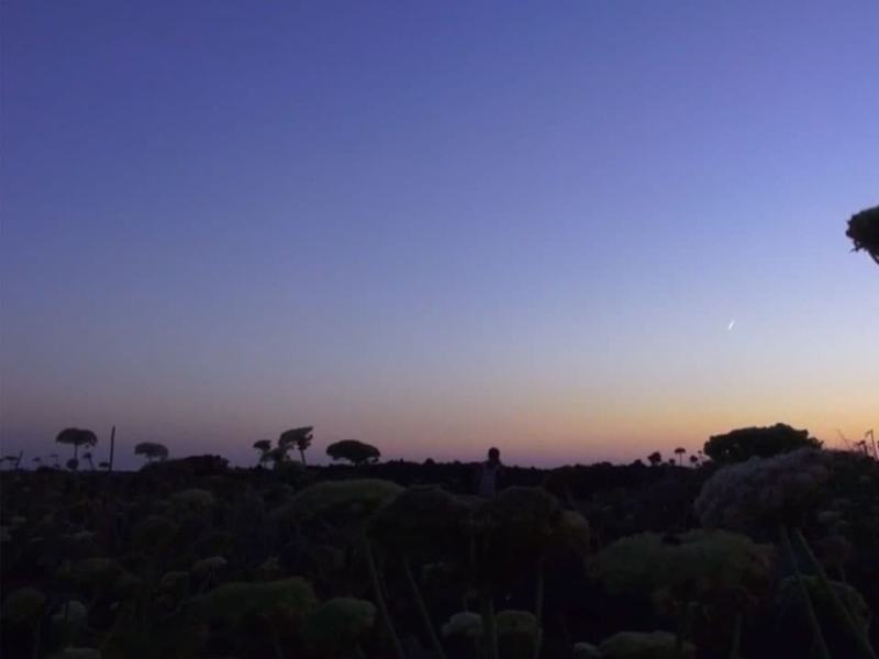 Isole - Ep. 2 - Linosa