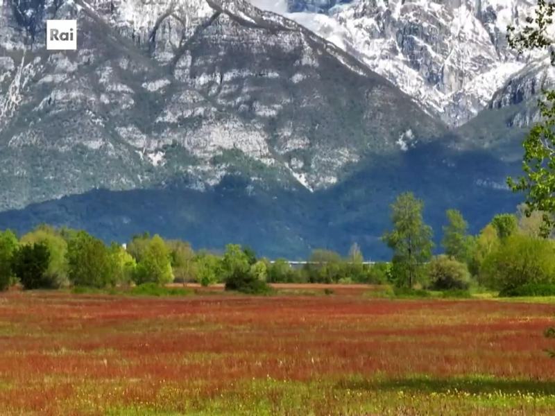 Italian Beauty - Stag. 1 Ep. 13 - Mantova - Chef Alessandro Gilmozzi