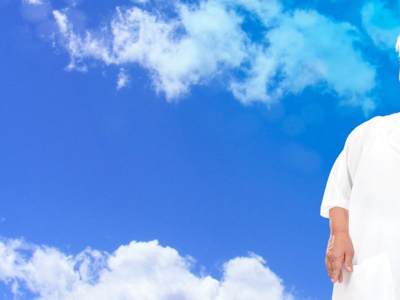 Josephine angelo custode