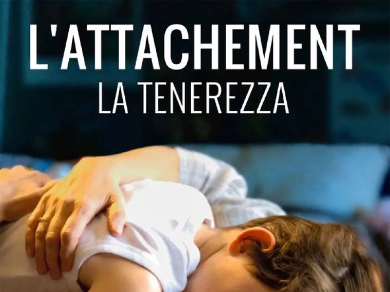 L'attachement: La tenerezza
