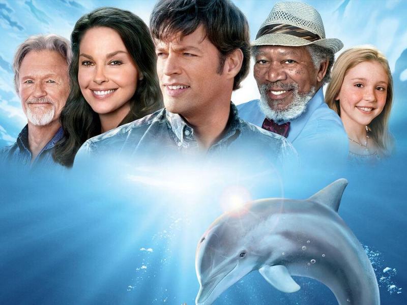 L'incredibile storia di Winter il delfino