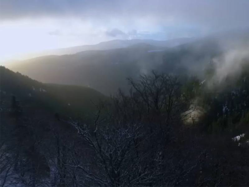 L'uomo dei boschi - Ep. 2 - Nelle foreste dei Vosgi