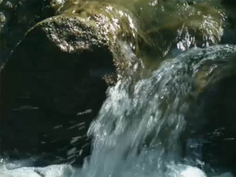 L'uomo dei boschi - Ep. 3 - Nella foresta di Castagnaccia