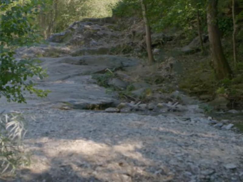 L'uomo dei boschi - Ep. 4 - La Cevenne bosco della resistenza