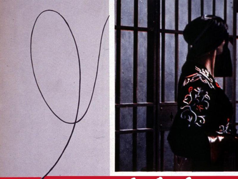 La figlia di Zorro
