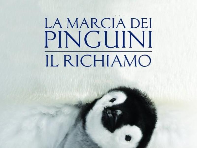 La marcia dei pinguini - Il richiamo