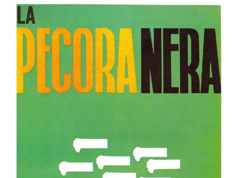 La pecora nera