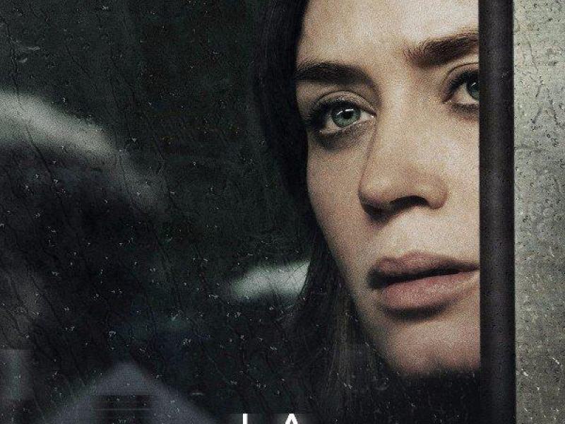 La ragazza del treno
