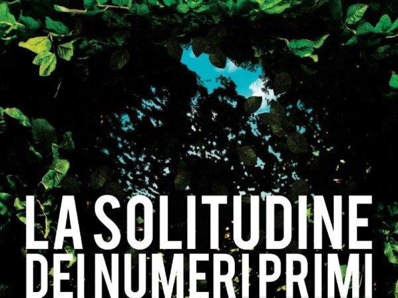 La solitudine dei numeri primi