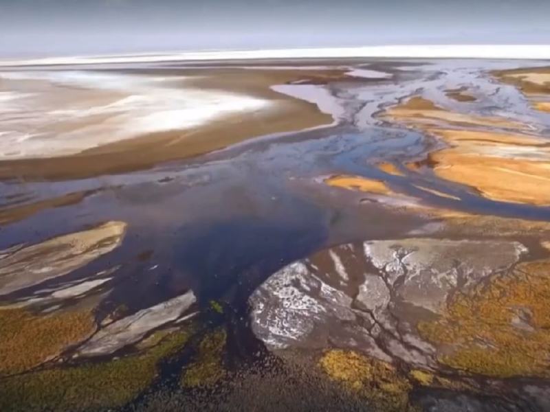 La vita segreta dei laghi - Stag. 2 Ep. 5 - Il lago Natron, Tanzania