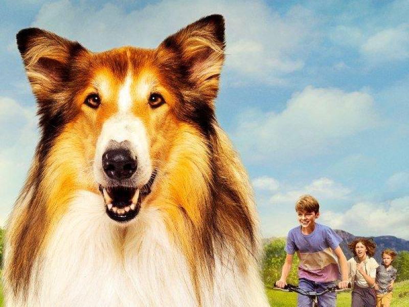 Lassie - Una nuova avventura