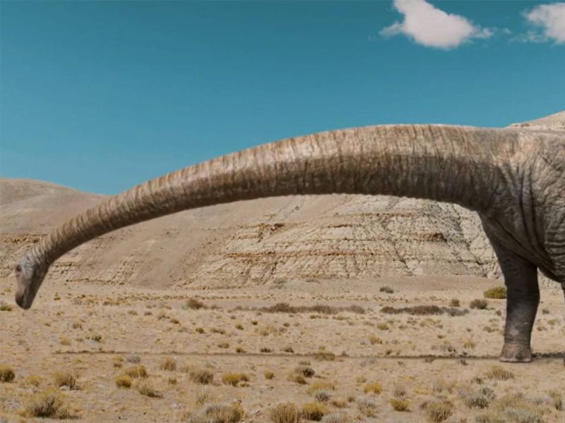 Le creature terrestri più grandi del mon 1 - Stag. 1 Ep. 2 - Le creature terrestri