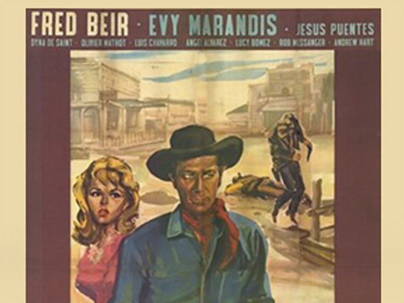 Le maledette pistole di Dallas