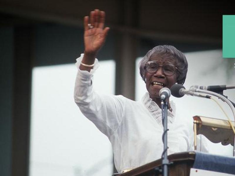 Le serie di RaiCultura.it - Stag. 2023 Ep. 10 - Rosa Parks e Martin Luther King