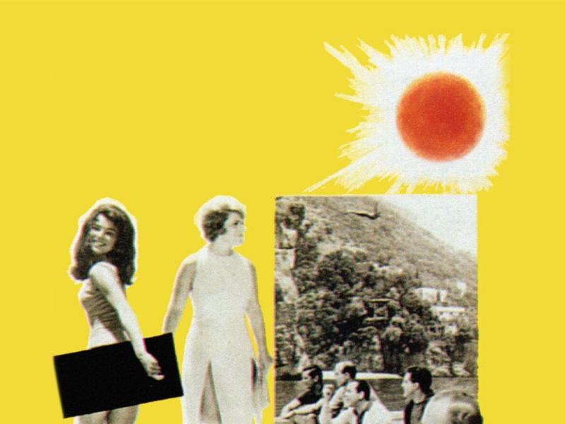 Leoni al sole