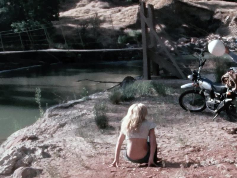 Lingue di luce - Il cinema di Massimo Bacigalupo - Cartoline dall'America