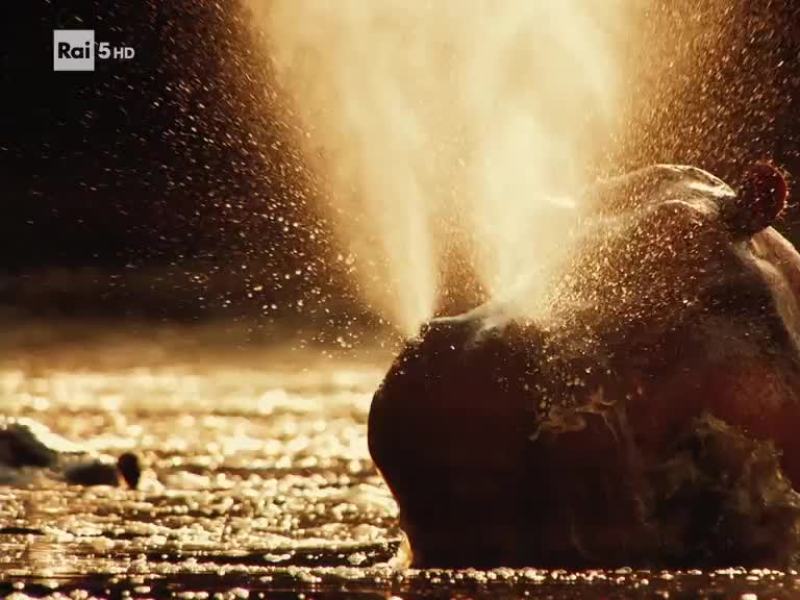 Lista dei desideri Africa