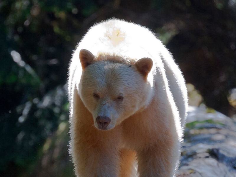 Magic moments - The spell of nature