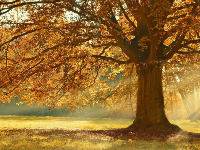 Maremma - Stag. 1 Ep. 1 - Autunno