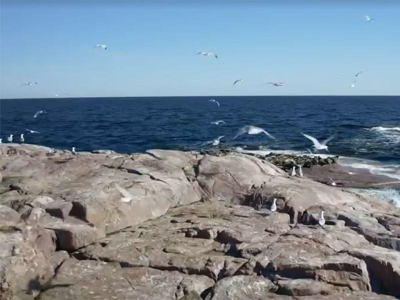 Meraviglie naturali della Danimarca 1 - Stag. 1 Ep. 2 - Il mare e le coste