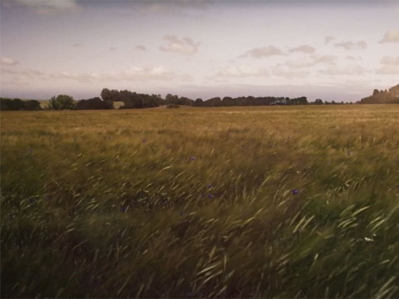 Meraviglie naturali della Danimarca 1 - Stag. 1 Ep. 3 - L'aperta campagna