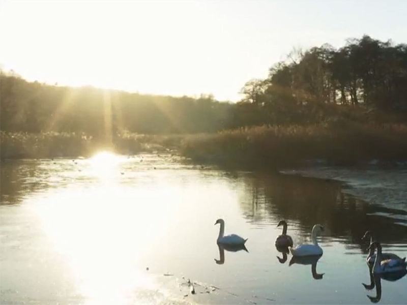 Meraviglie naturali della Danimarca 1 - Stag. 1 Ep. 4 - Il lago e il fiume