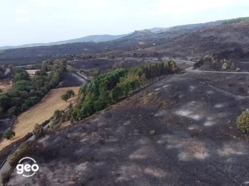 Montiferru il canto del maestrale - Stag. 2021 - La foresta del montiferru - 22/10/2021