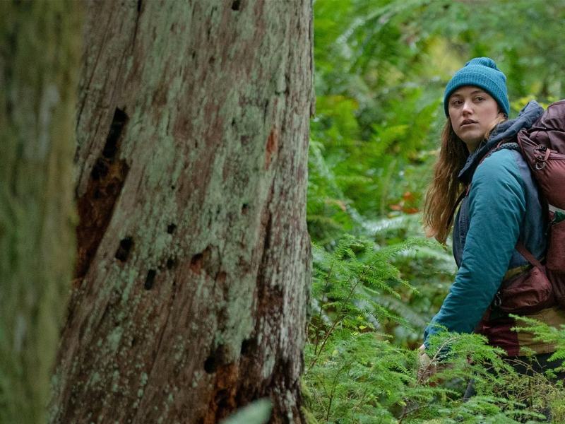 Non siamo soli (2022)