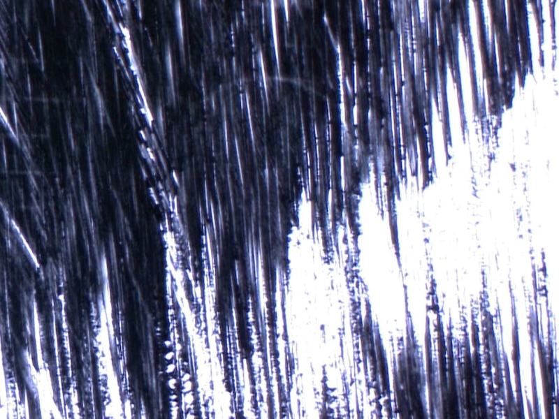 Omaggio a Gianfranco Brebbia - Bazar