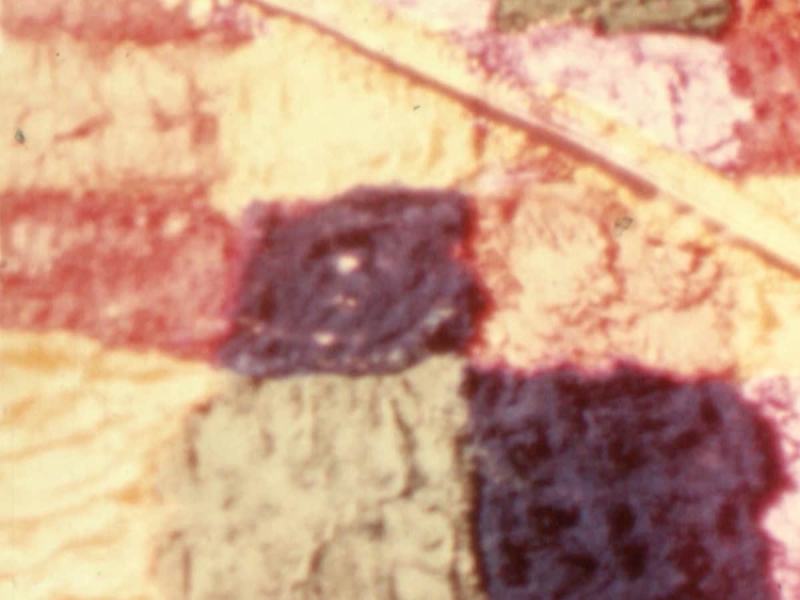 Omaggio a Gianfranco Brebbia - Deserto in luce solare