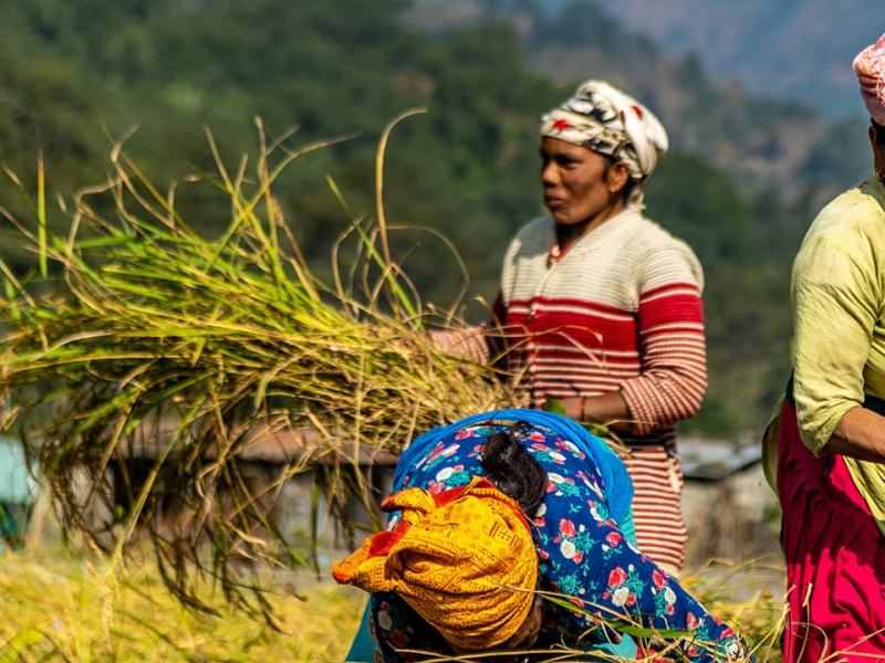 Overland - Stag. 2025 Ep. 8 - Un altro Nepal: giungla, spiritualità e tradizioni - 07/08/2025