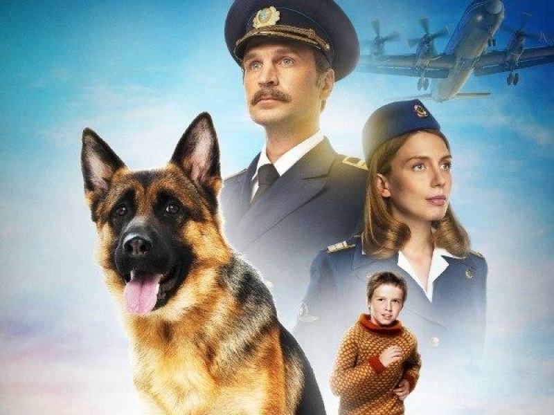 Palma un amore di cane