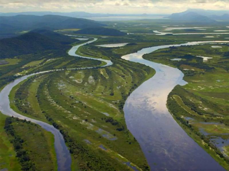Paradisi da salvare 1 - Stag. 1 Ep. 10 - Pantanal, il Brasile  Selvaggio