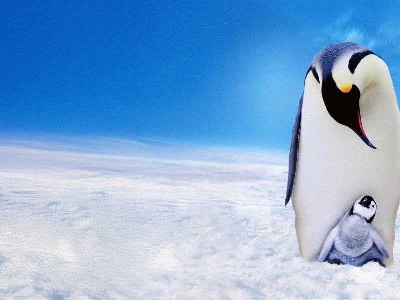 Pinguini - Una spia nel gruppo - Stag. 1 Ep. 3 - Crescere