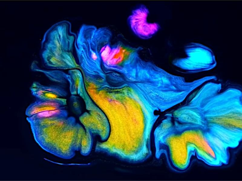 Poke Stories 1 - Stag. 1 Ep. 5