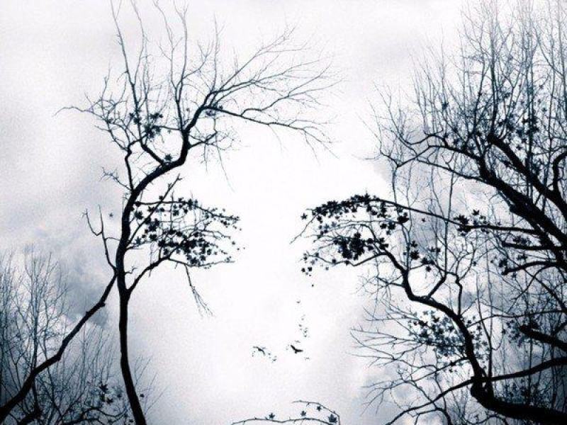 Premonition
