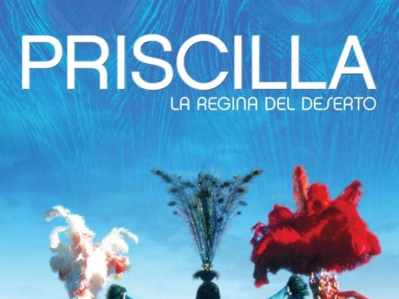 Priscilla, la regina del deserto