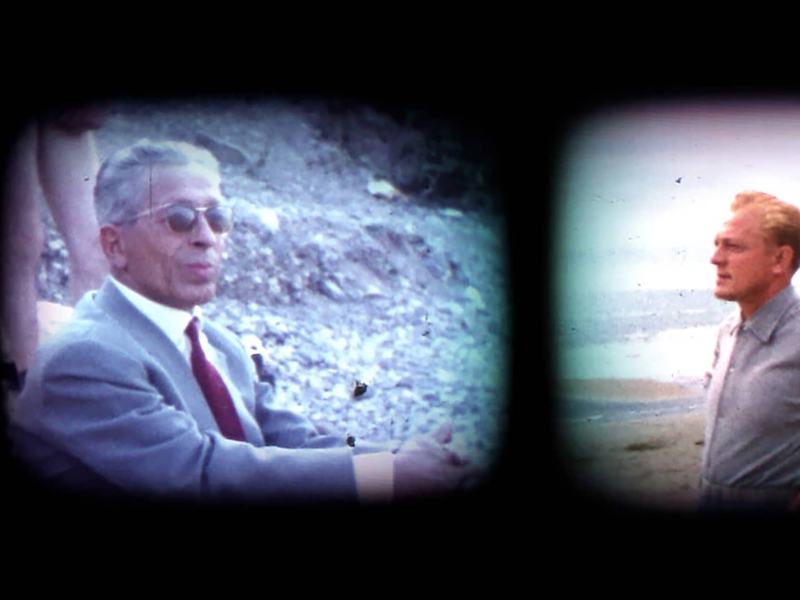 Re-framing home movies - I fiori blu